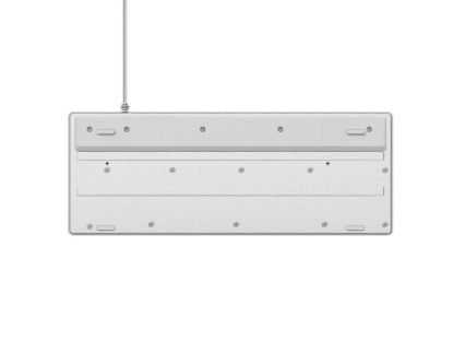 Trust GXT833 Thado TKL WHITE