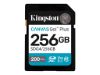 Kingston SD 256GB CanvasGoPlusSDXC,r/w:200/160MB/sDSLRs, mirrorless cameras, 4K video