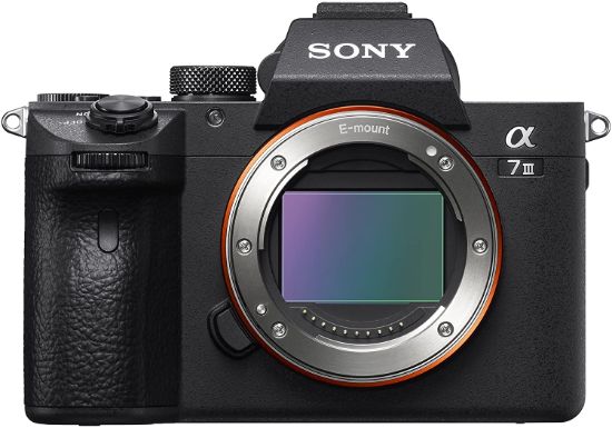 Sony Alpha a7 III Camera Body